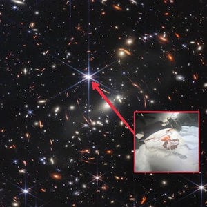 Meet your Posher, Hillary